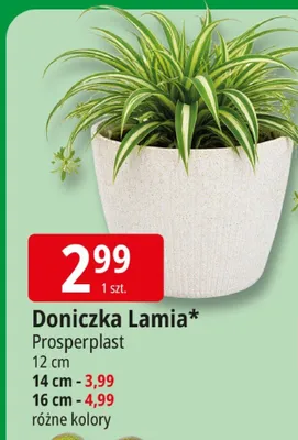 Doniczka Lamia 12cm Prosperplast promocja w Leclerc