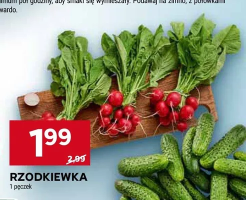 Rzodkiewka promocja w Stokrotka