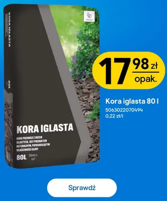 Kora iglasta promocja w Castorama