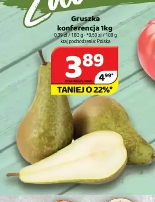 Gruszki konferencja promocja w Delfin