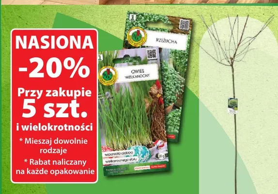 Gazetka 13 / 2026, strona 60 promocja w Dino