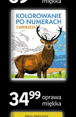 Książka Kolorowanie po numerach Zwierzęta Wydawnictwo RM promocja w Empik