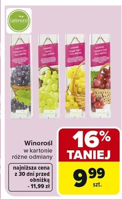 Winorosl w kartonie różne odmiany promocja w Carrefour