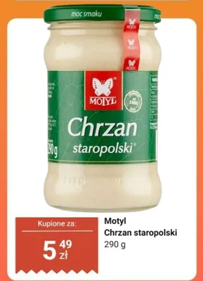 Chrzan staropolski promocja w Dino
