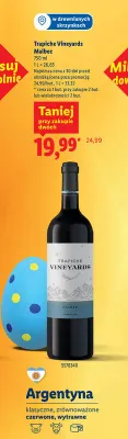Wino Malbec promocja w Lidl
