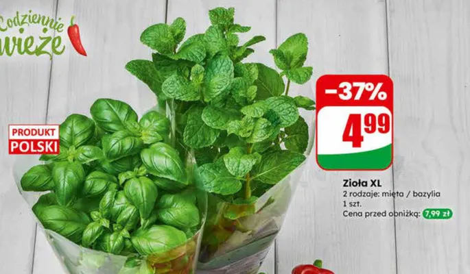 Zioła XL bazylia promocja w Dino