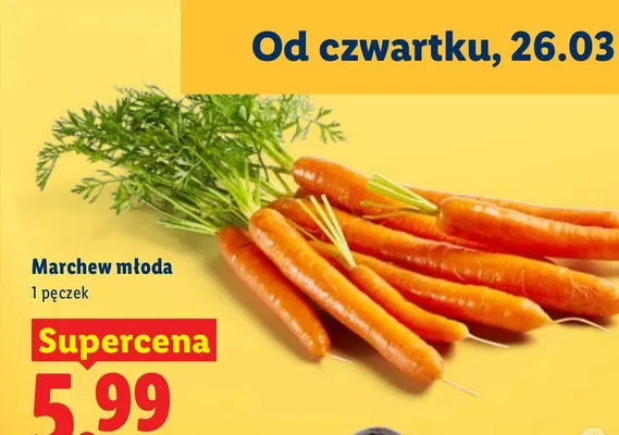 Marchew młoda, pęczek promocja w Lidl