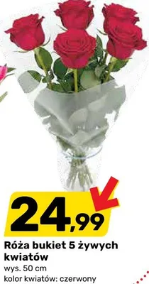 Róża bukiet 5 żywych kwiatów promocja w Bricomarche