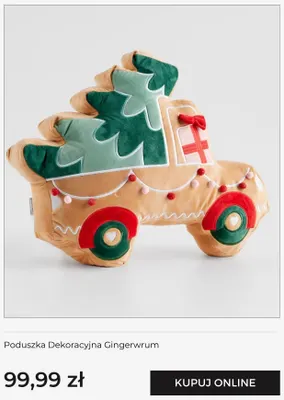 Poduszka dekoracyjna Gingerwrum home & you promocja w home&you