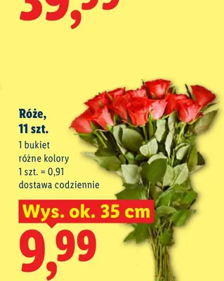 Róże 11-pak wys. ok. 35 cm promocja w Lidl