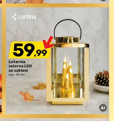 Latarnia solarna LED ze szkłem wys. 28 cm Cortina promocja w Bricomarche
