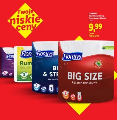 Ręcznik papierowy 2-warstwowy Big Size Floralys promocja w Lidl