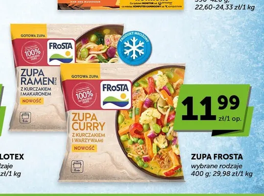 Zupa Ramen z kurczakiem i makaronem Frosta promocja w Euro Sklep