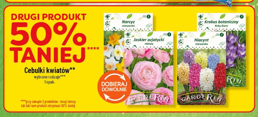 Cebulki kwiatów narcyz mieszanka Garderin promocja w POLOmarket