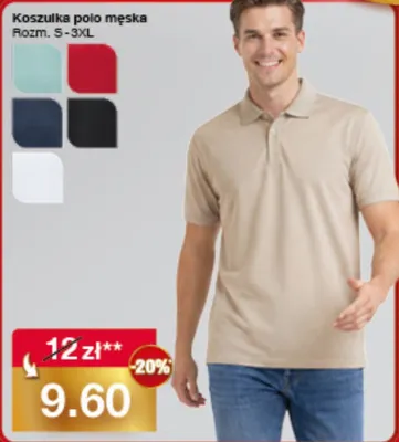 Koszulka polo męska promocja w Woolworth
