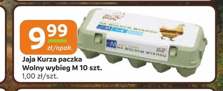Jaja Kurza paczka Wolny wybieg M promocja w Społem Częstochowa