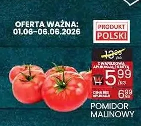 Pomidor malinowy polski promocja w Wafelek