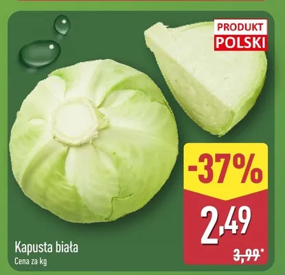 Kapusta biała promocja w Aldi