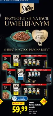 Karma dla kota saszetki różne rodzaje promocja w Lidl