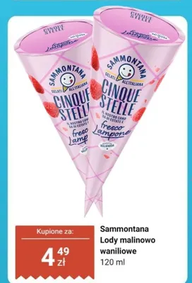Lody rożek waniliowo-malinowe Cinque Stelle promocja w Dino
