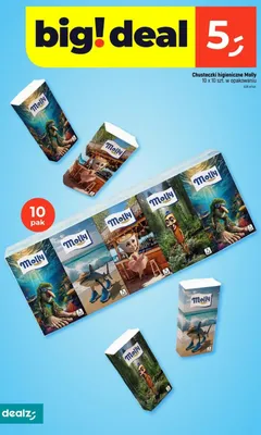 Chusteczki higieniczne 10 x 10 szt. w opakowaniu promocja w Dealz