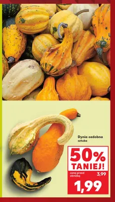 Dynia ozdobna promocja w Kaufland
