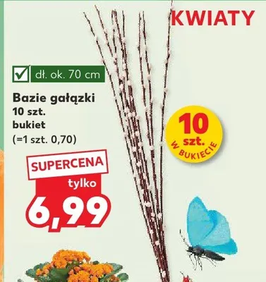 Bazie gałązki bukiet promocja w Kaufland