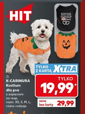 Kostium dla psa z zapięciem na rzep K-Carinura promocja w Kaufland