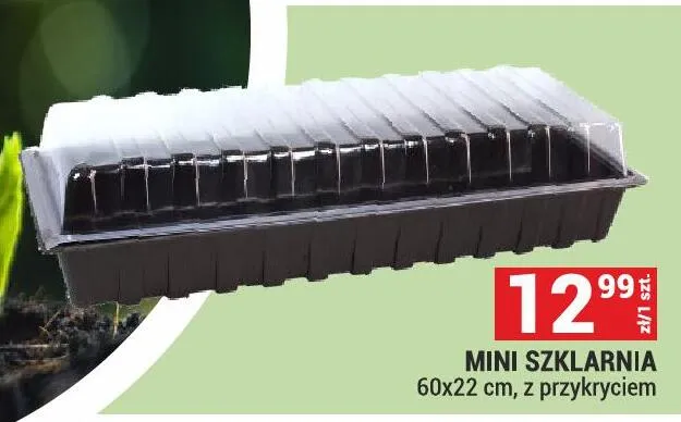 Mini szklarnia 60x22 cm, z przykryciem promocja w Merkury Market