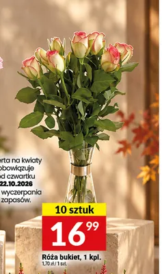 Róża bukiet 10-pak promocja w Twój Market