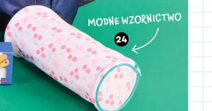 Piórnik-saszetka bez wyposażenia promocja w Biedronka