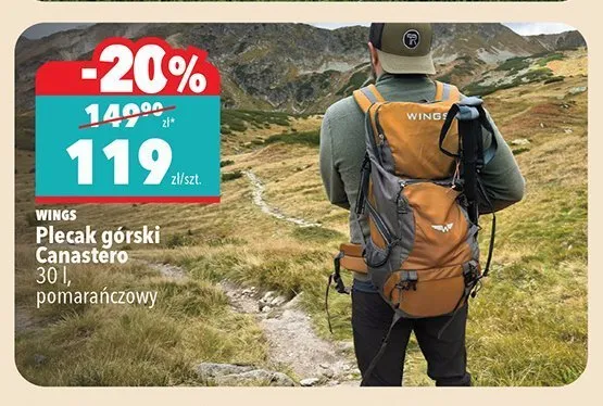 Plecak górski Canastero Wings 30 l promocja w Biedronka