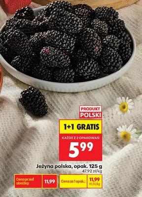 Jeżyna polska promocja w Biedronka
