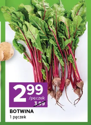 Botwina promocja w Stokrotka