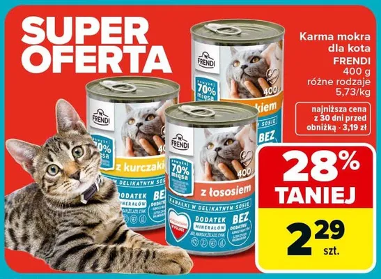 Karma mokra dla kota różne rodzaje promocja w Carrefour Market