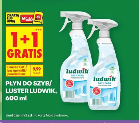 Płyn do szyb i luster Ludwik promocja w Biedronka
