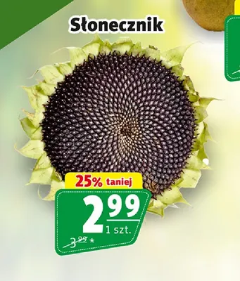 Słonecznik promocja w Prim Market