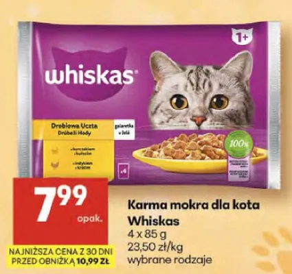 Karma mokra dla kota promocja w Delikatesy Centrum