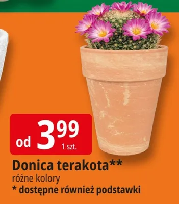 Donica terakota promocja w Leclerc