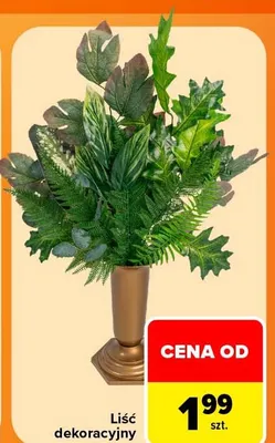 Liść dekoracyjny promocja w Carrefour