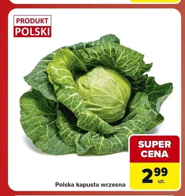 Kapusta wczesna polska promocja w Carrefour Market