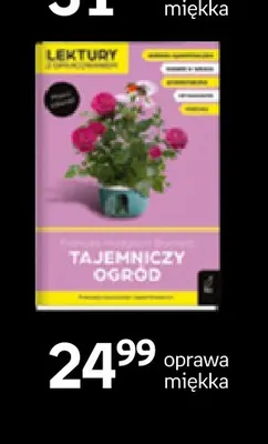 Książka Tajemniczy ogród oprawa miękka Wilga promocja w Empik