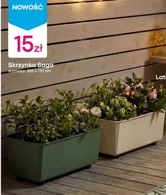 Skrzynka Saga promocja w Pepco