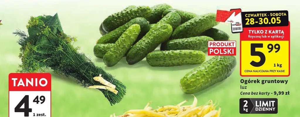 Ogórek gruntowy luz promocja w Intermarche
