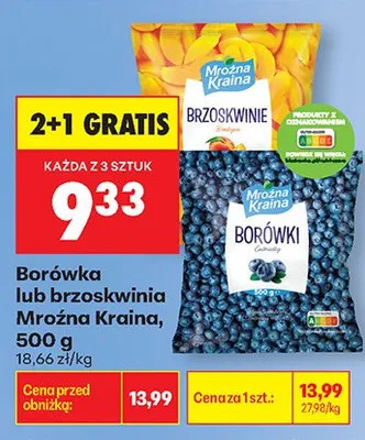 Borówka Mroźna Kraina 500g promocja w Biedronka