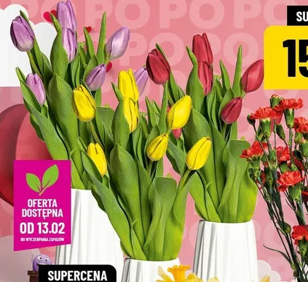 Tulipany bukiet promocja w POLOmarket
