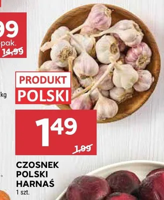 Czosnek polski Harnaś promocja w Stokrotka