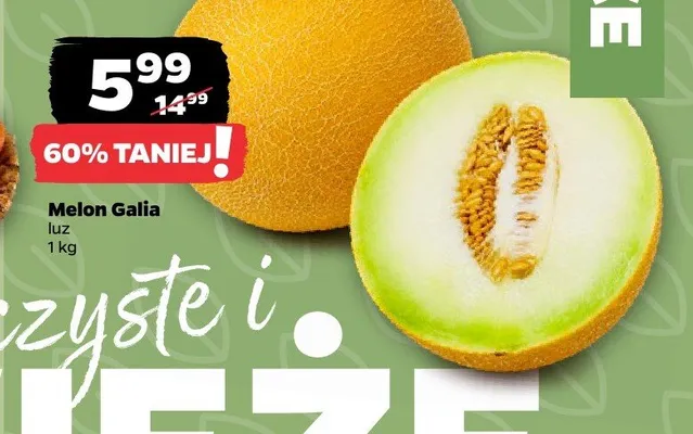 Melon Galia promocja w Netto