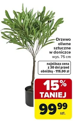 Drzewo oliwne sztuczne w doniczce promocja w Carrefour