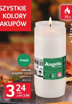 Wkład olejowy zalewany Angela promocja w Selgros